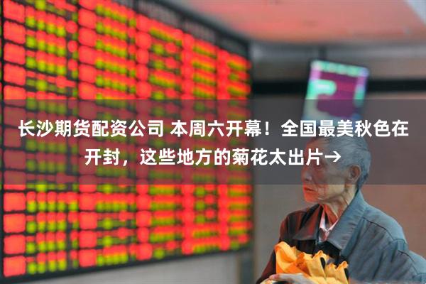长沙期货配资公司 本周六开幕！全国最美秋色在开封，这些地方的菊花太出片→