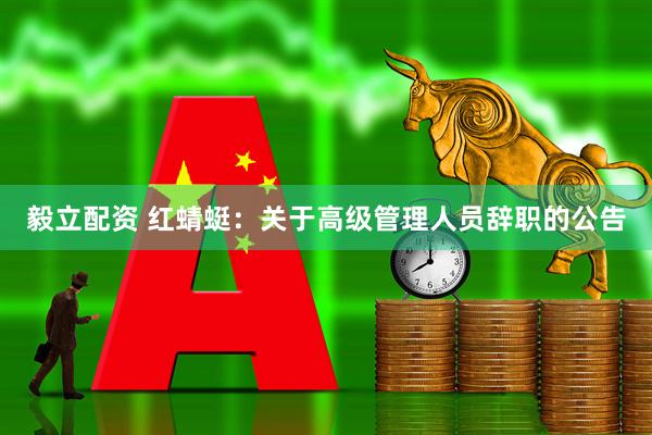 毅立配资 红蜻蜓：关于高级管理人员辞职的公告